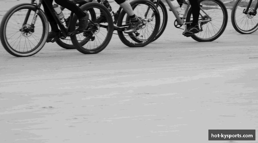 领略开云kaiyun首页